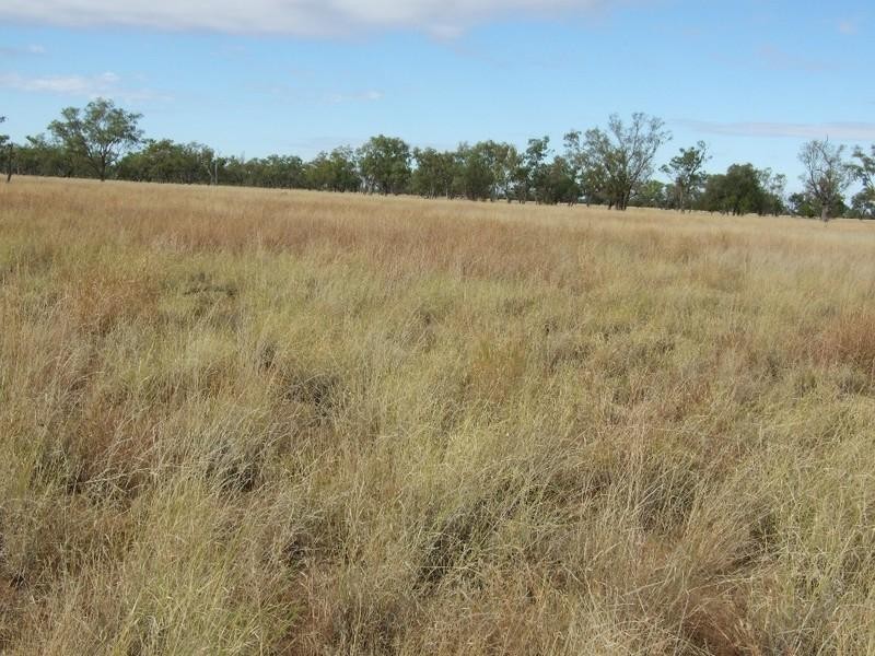 LAAP2446 Landsborough Highway, Blackall QLD 4472