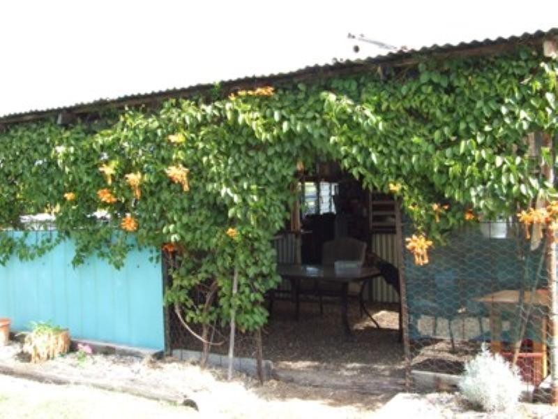 207 Oak Street, Barcaldine QLD 4725