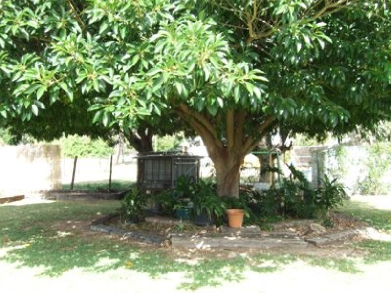 207 Oak Street, Barcaldine QLD 4725