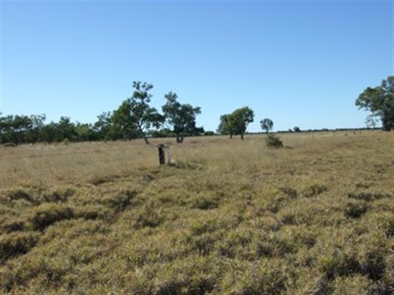 Blackall QLD 4472