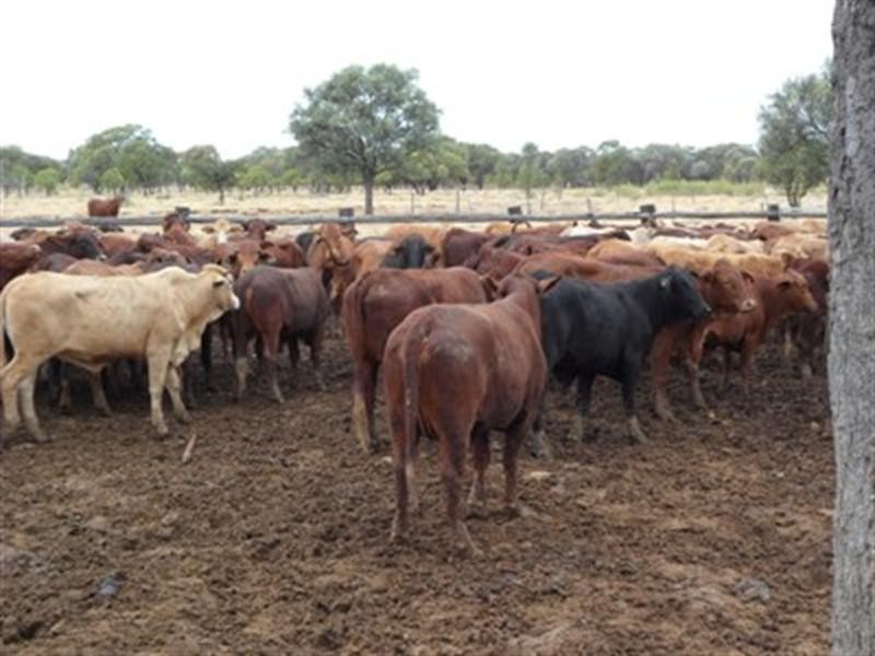 0 Ilfracombe Isisford Road, Ilfracombe QLD 4727