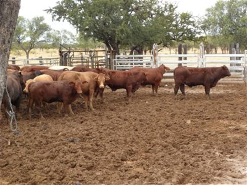 0 Ilfracombe Isisford Road, Ilfracombe QLD 4727