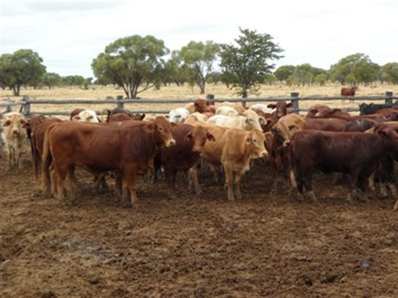 0 Ilfracombe Isisford Road, Ilfracombe QLD 4727