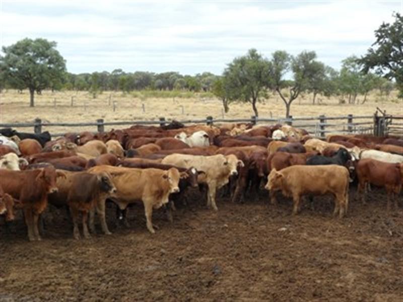 0 Ilfracombe Isisford Road, Ilfracombe QLD 4727