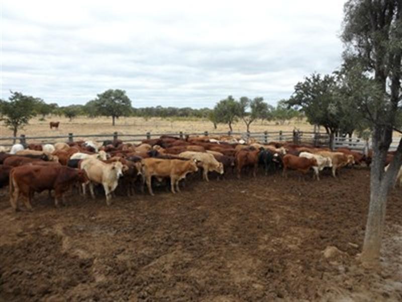 0 Ilfracombe Isisford Road, Ilfracombe QLD 4727