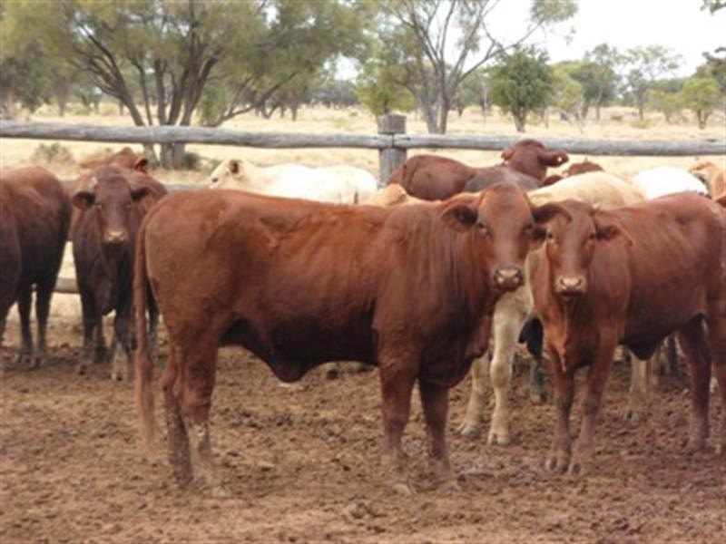 0 Ilfracombe Isisford Road, Ilfracombe QLD 4727