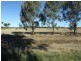 Blackall QLD 4472