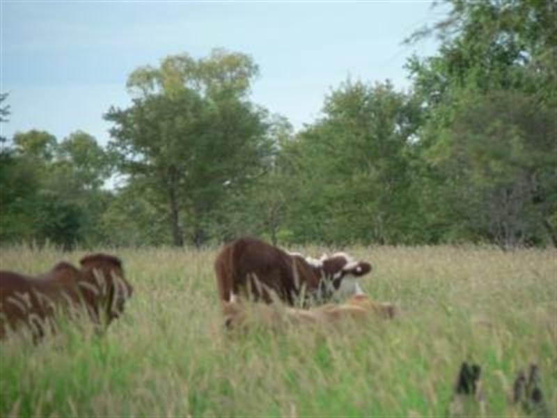 Lot 7 Frames Lane, Blackall QLD 4472