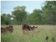 Lot 10 Frames Lane, Blackall QLD 4472