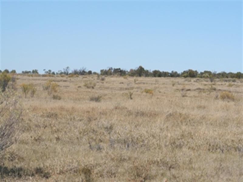 L1 and L4 “Potosi”, Muttaburra QLD 4732