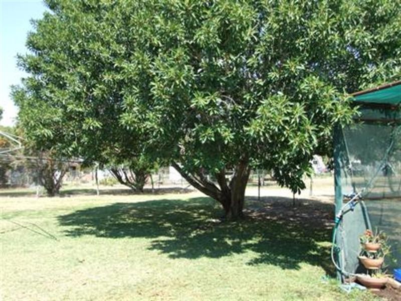 14 Violet, Blackall QLD 4472