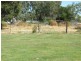Tambo QLD 4478