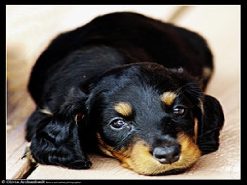 70A Portman Street, Oakleigh VIC 3166