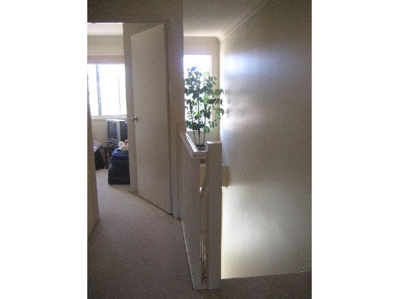 Mermaid Waters QLD 4218