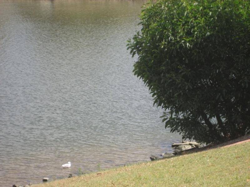 5/6 Lowood Court, Varsity Lakes QLD 4227