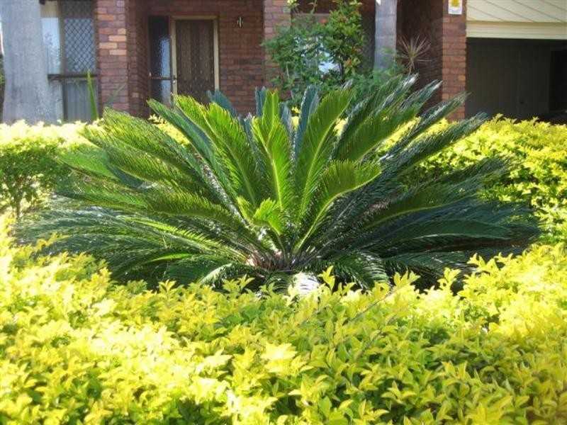 266 Ron Penhaligon Way, Robina QLD 4226