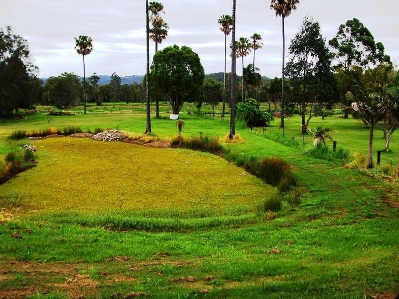 41 Larch Street, Tallebudgera QLD 4228