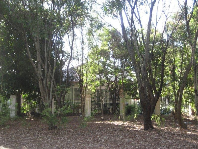 11 Cedarwood Crescent, Robina QLD 4226