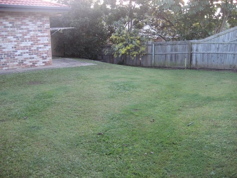 8 Errol Flynn Court, Parkwood QLD 4214