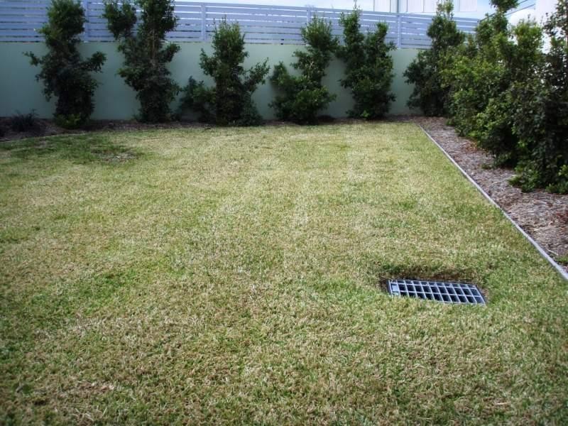 37/137 Scottsdale Drive, Robina QLD 4226