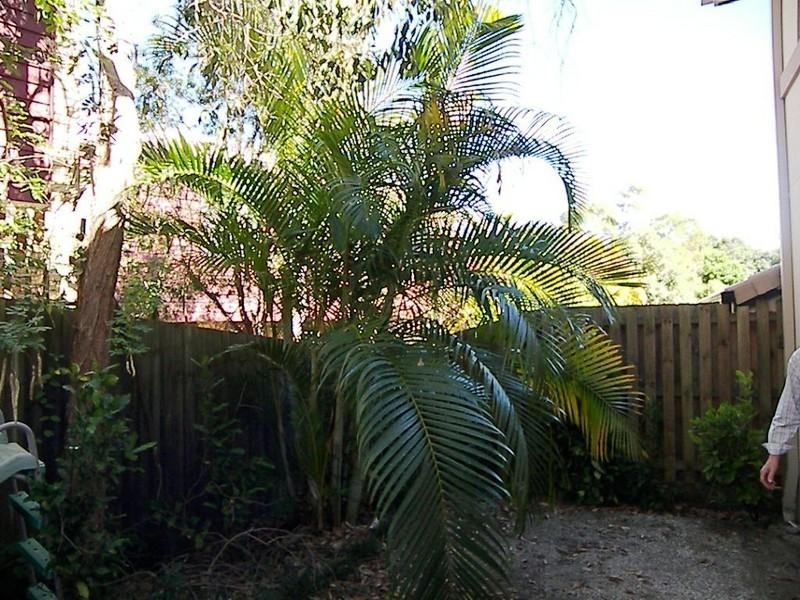 23/4 Bushmead Street “BUSHMEAD VILLAS”, Nerang QLD 4211