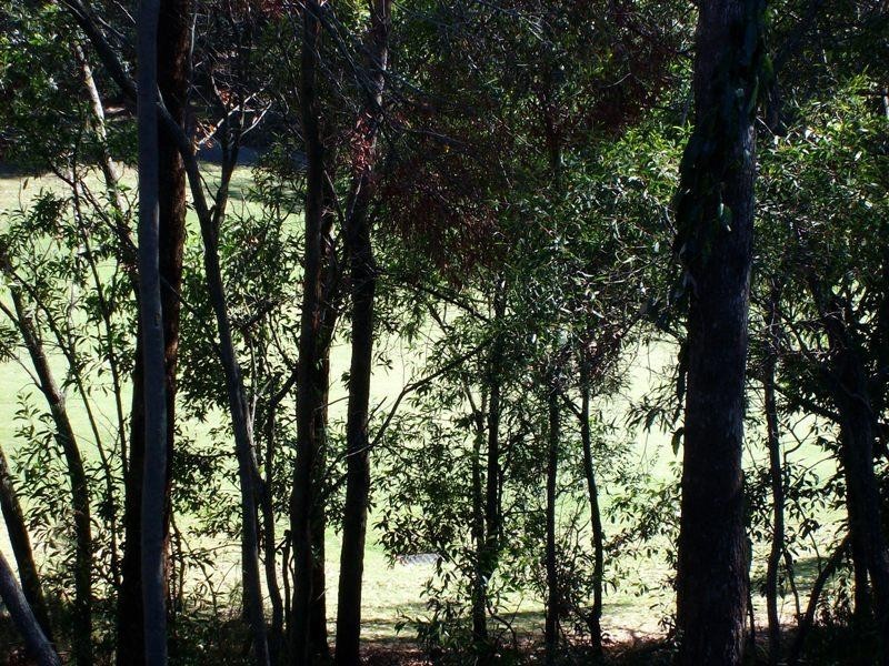 9 Straite Drive, Robina QLD 4226