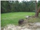 9 Thomas Duncan, Worongary QLD 4213