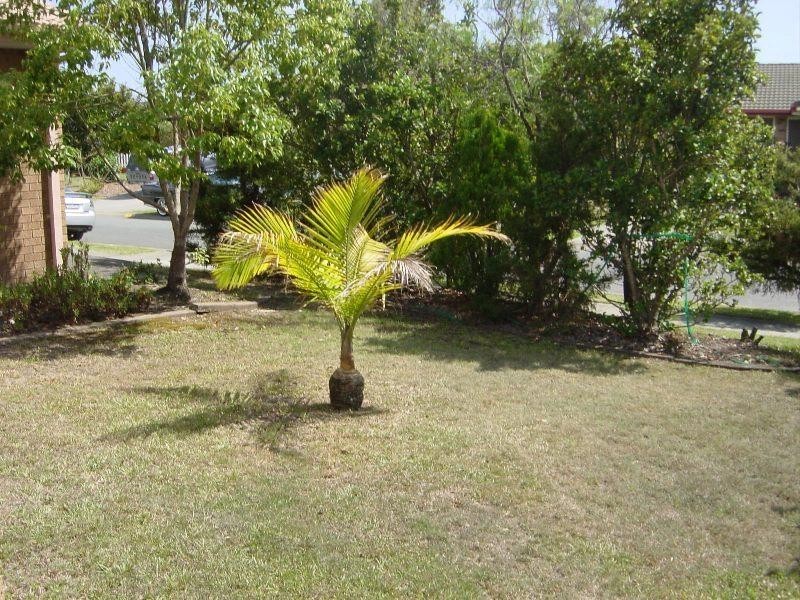 3 Styer Circuit, Burleigh Waters QLD 4220