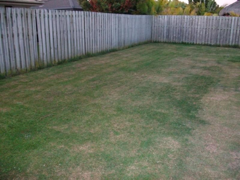 86 Harrier Drive, Burleigh Waters QLD 4220