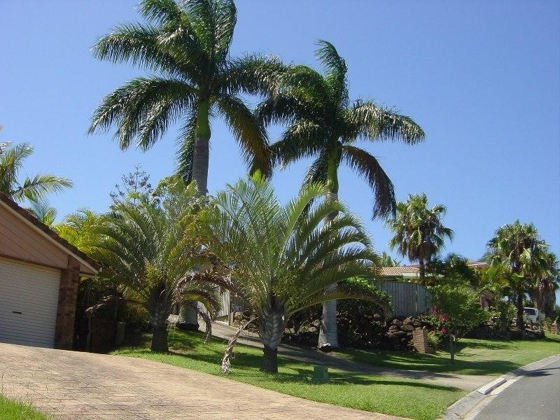 8 Huntingdale Crescent, Robina QLD 4226