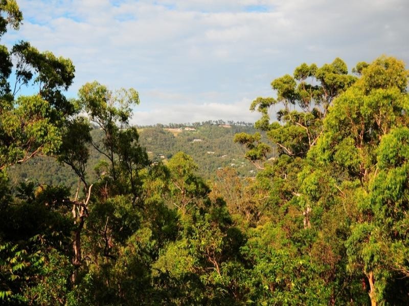 21 Arthur Payne Court, Worongary QLD 4213