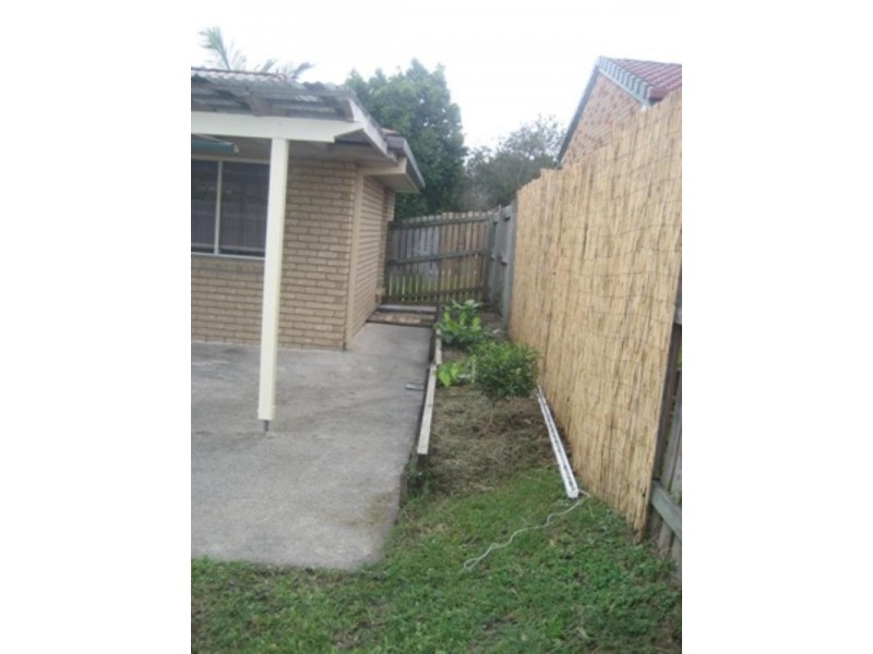 3 Carine Court, Nerang QLD 4211