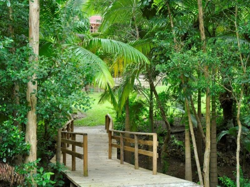 4 Coorabin Court, Tallebudgera QLD 4228