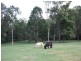 168 Country Crescent, Nerang QLD 4211