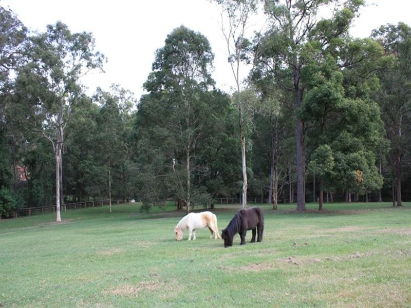 168 Country Crescent, Nerang QLD 4211