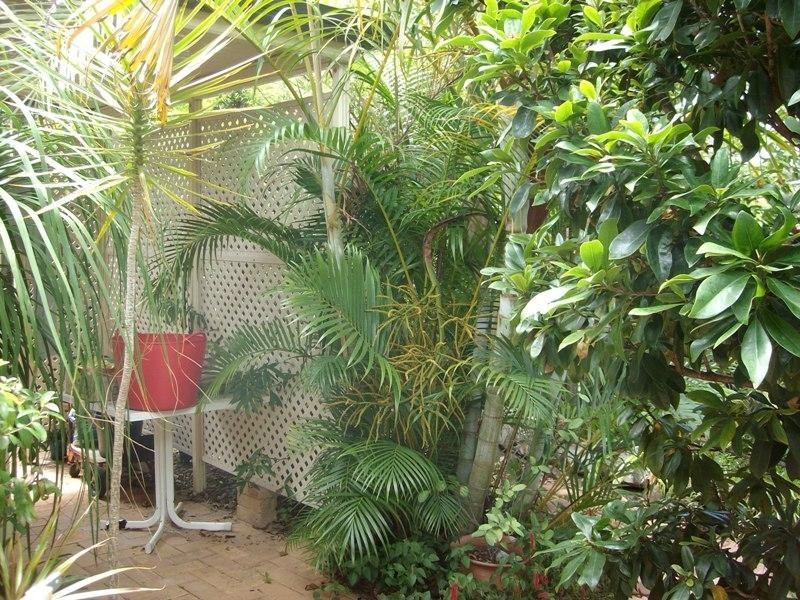 12 Windemere Crescent, Varsity Lakes QLD 4227