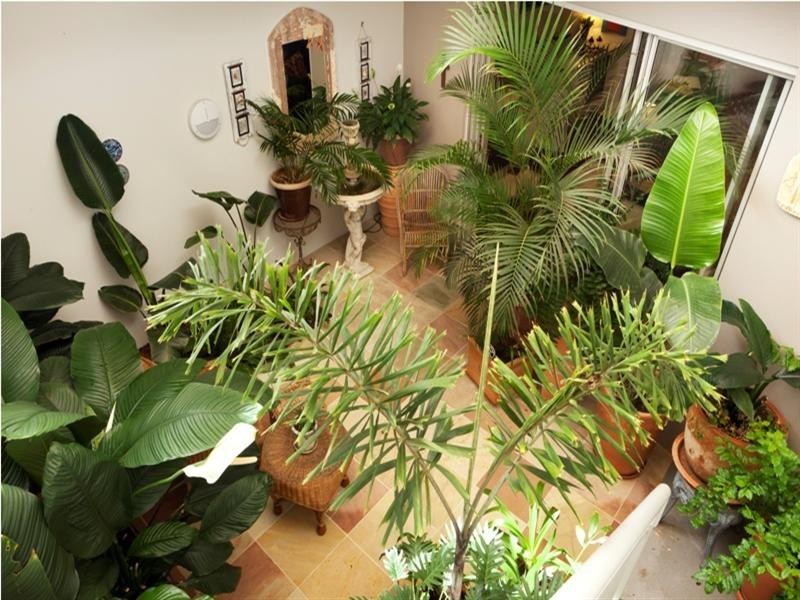 5 Watts Drive, Varsity Lakes QLD 4227