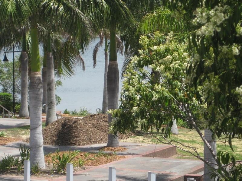 18 Moores Crescent, Varsity Lakes QLD 4227