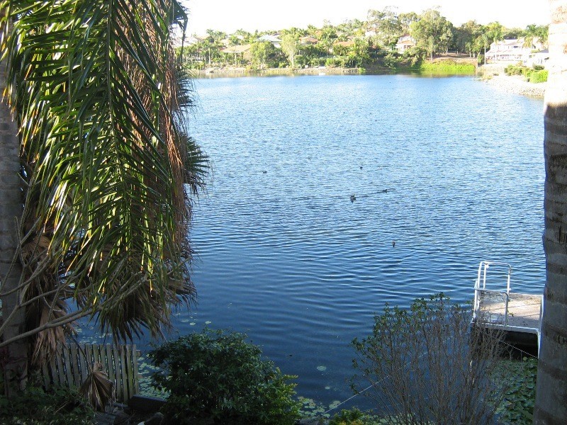 15 Tullamarine Drive, Robina QLD 4226