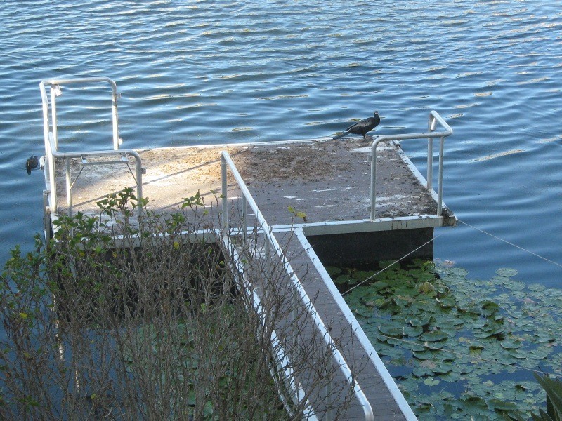 15 Tullamarine Drive, Robina QLD 4226