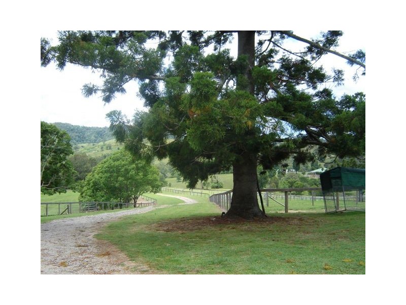 Delaneys Creek QLD 4514