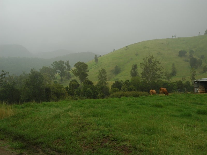 Delaneys Creek QLD 4514