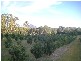 Peachester QLD 4519