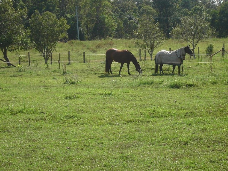 Woodford QLD 4514