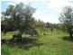 Woodford QLD 4514