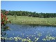 Stanmore QLD 4514