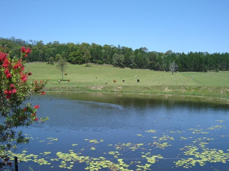 Stanmore QLD 4514