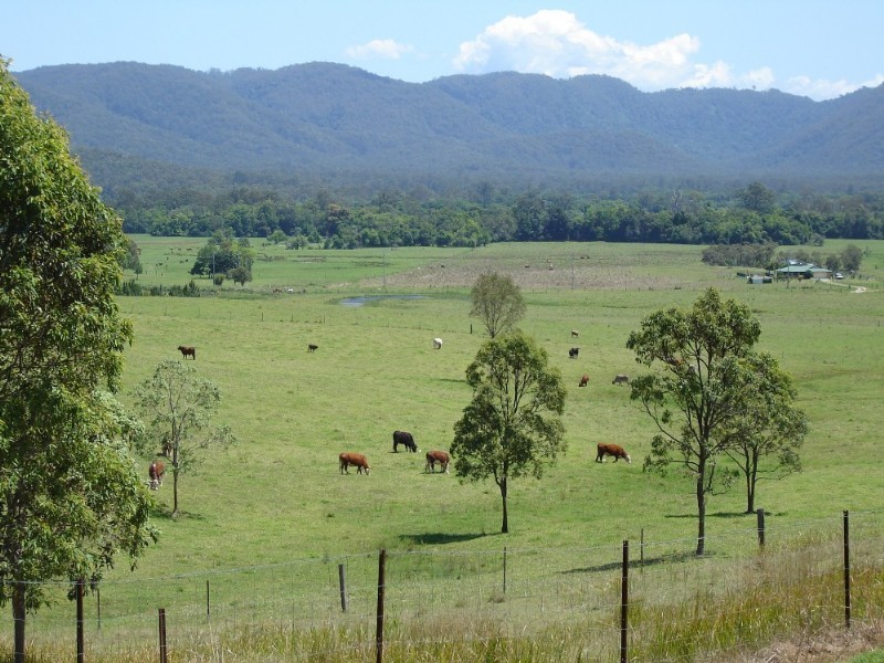 Stanmore QLD 4514