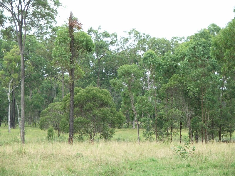 Burpengary QLD 4505
