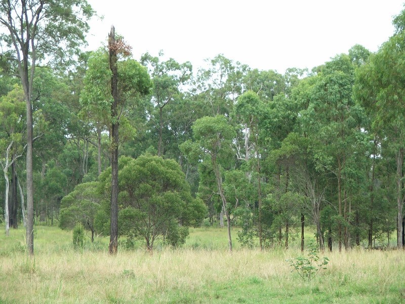 Burpengary QLD 4505